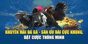 Khuyến Mãi Đá Gà - Săn Ưu Đãi Cực Khủng, Đặt Cược Thông Minh